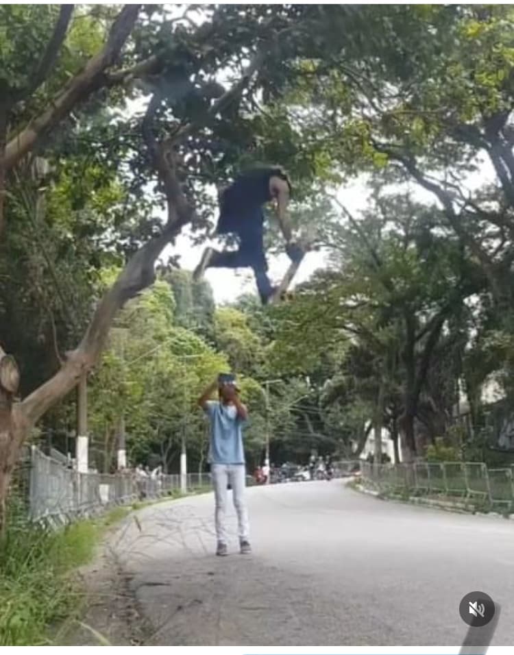 Drop da árvore #thatsgnarly #sp #brasil